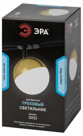Светильник на штанге Эра  TR42-GX53 BS в Сургуте - surgut.ok-mebel.com | фото 6