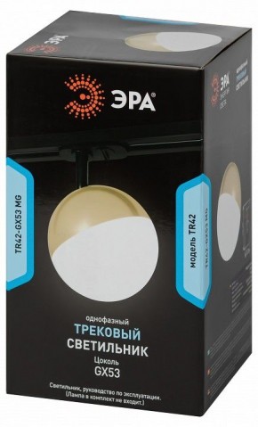 Светильник на штанге Эра  TR42-GX53 MG в Сургуте - surgut.ok-mebel.com | фото 6