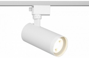 Светильник на штанге Эра  TR59 - 2040 WH в Сургуте - surgut.ok-mebel.com | фото