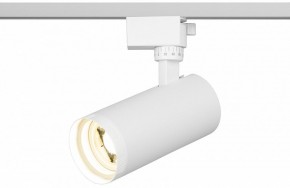 Светильник на штанге Эра  TR59 - 2040 WH в Сургуте - surgut.ok-mebel.com | фото 5