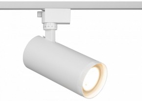 Светильник на штанге Эра  TR59 - 3030 WH в Сургуте - surgut.ok-mebel.com | фото