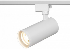 Светильник на штанге Эра  TR59 - 3030 WH в Сургуте - surgut.ok-mebel.com | фото 5