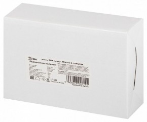 Светильник на штанге Эра  TRM-S5-3-12W4K-BK в Сургуте - surgut.ok-mebel.com | фото 8
