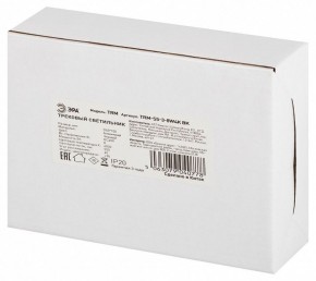 Светильник на штанге Эра  TRM-S5-3-8W4K-BK в Сургуте - surgut.ok-mebel.com | фото 8