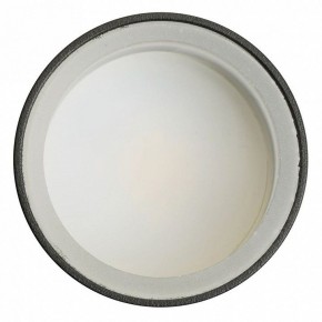 Светильник на штанге Feron ML1001 51371 в Сургуте - surgut.ok-mebel.com | фото 4