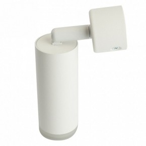Светильник на штанге Feron ML1021 51390 в Сургуте - surgut.ok-mebel.com | фото 3