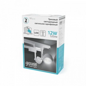 Светильник на штанге Gauss Track Light TR054 в Сургуте - surgut.ok-mebel.com | фото 5