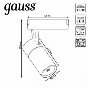 Светильник на штанге Gauss Track Light TR060 в Сургуте - surgut.ok-mebel.com | фото 5