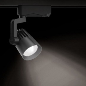 Светильник на штанге Gauss Track Light TR061 в Сургуте - surgut.ok-mebel.com | фото 2