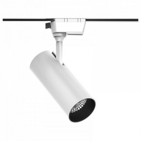 Светильник на штанге Gauss Track Light TR063 в Сургуте - surgut.ok-mebel.com | фото