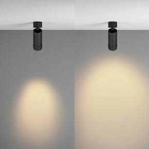Светильник на штанге Maytoni Focus Zoom C055CL-L12W2.7K-Z-B в Сургуте - surgut.ok-mebel.com | фото 3