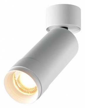 Светильник на штанге Maytoni Focus Zoom C055CL-L12W2.7K-Z-W в Сургуте - surgut.ok-mebel.com | фото