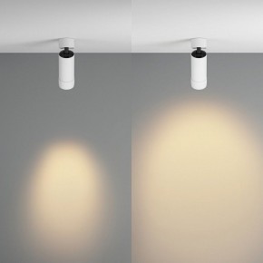 Светильник на штанге Maytoni Focus Zoom C055CL-L12W2.7K-Z-W в Сургуте - surgut.ok-mebel.com | фото 3