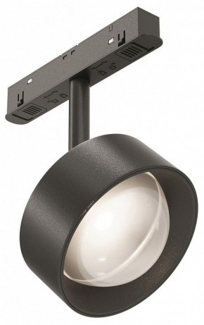 Светильник на штанге Maytoni Lens TR217-2-15W4K-B в Сургуте - surgut.ok-mebel.com | фото