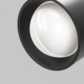 Светильник на штанге Maytoni Lens TR217-2-15W4K-B в Сургуте - surgut.ok-mebel.com | фото 10
