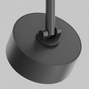 Светильник на штанге Maytoni Lens TR217-2-15W4K-B в Сургуте - surgut.ok-mebel.com | фото 9