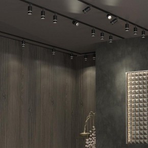 Светильник на штанге Novotech Elina 370777 в Сургуте - surgut.ok-mebel.com | фото 4