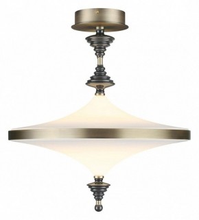 Светильник на штанге Odeon Light Ula 5404/43CL в Сургуте - surgut.ok-mebel.com | фото 2
