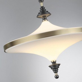 Светильник на штанге Odeon Light Ula 5404/43CL в Сургуте - surgut.ok-mebel.com | фото 6