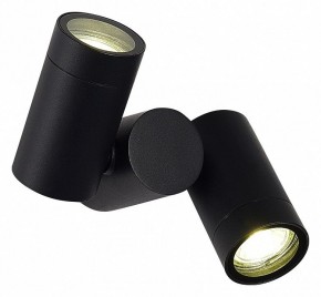 Светильник на штанге ST-Luce Ecollo SL9011.402.02 в Сургуте - surgut.ok-mebel.com | фото 2