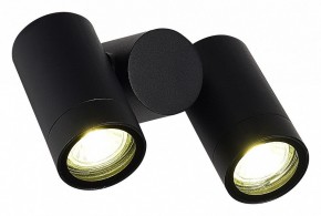 Светильник на штанге ST-Luce Ecollo SL9011.402.02 в Сургуте - surgut.ok-mebel.com | фото 3
