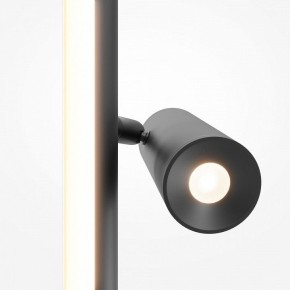 Торшер Maytoni Thin MOD395FL-L28B3K в Сургуте - surgut.ok-mebel.com | фото 6