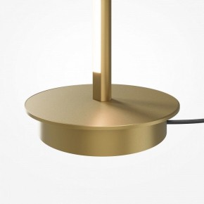 Торшер Maytoni Thin MOD395FL-L28BS3K в Сургуте - surgut.ok-mebel.com | фото 7