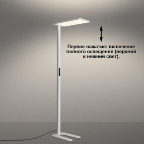 Торшер Novotech STUDI 359545 в Сургуте - surgut.ok-mebel.com | фото 5