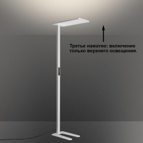 Торшер Novotech STUDI 359545 в Сургуте - surgut.ok-mebel.com | фото 6