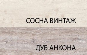 Тумба RTV 1D2SN, MONAKO, цвет Сосна винтаж/дуб анкона в Сургуте - surgut.ok-mebel.com | фото 3